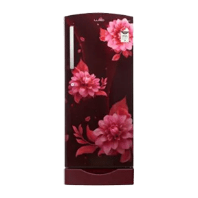 Lloyd GLDF243SBWS2PB 225 Ltr Single Door