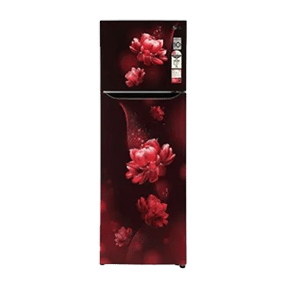 LG GL-T322SSCY 308 Ltr Double Door