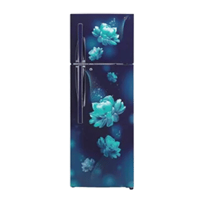 LG GL-T322RBCX 308 Ltr Double Door