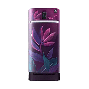 Samsung RR21A2F2X9R 198 Ltr Single Door