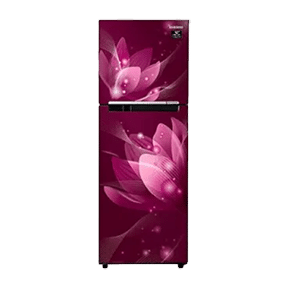 Samsung RT28T3032R8 253 Ltr Double Door