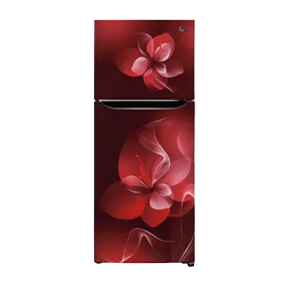 LG GL-N292BSDY 260 Ltr Double Door