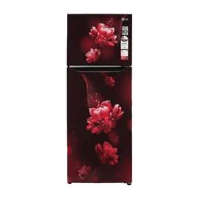 LG GL-T302SSCY 308 Ltr Double Door