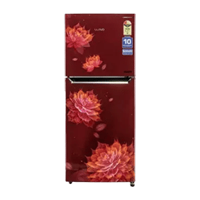 Lloyd GLFF282ASRT1PB 276 Ltr Double Door