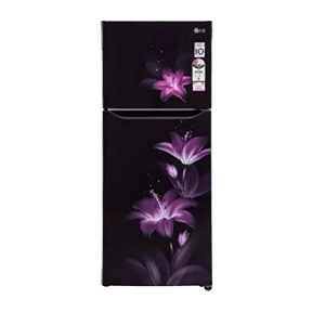 LG GL-N292BPGY 260 Ltr Double Door