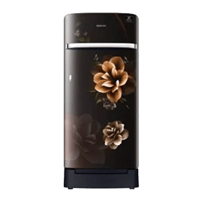 Samsung RR21T2H2WCB 198 Ltr Single Door