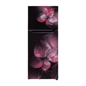 LG GL-N292BPDY 260 Ltr Double Door