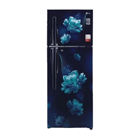 LG GL-T302RBCX 284 Ltr Double Door
