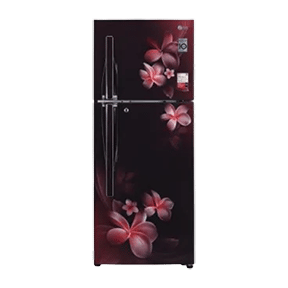 LG GL-T292RSPX 260 Ltr Double Door