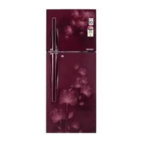 LG GL-F282RSFL 255 Ltr Double Door