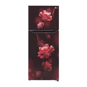 LG GL-T292SSC3 260 Ltr Double Door