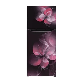LG GL-N292DPDY 260 Ltr Double Door