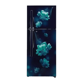 LG GL-T292RSC3 260 Ltr Double Door