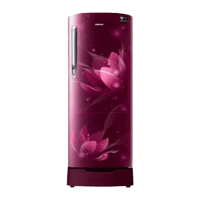 Samsung RR22T383YR8 215 Ltr Single Door