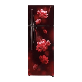 LG GL-T302RSCY 284 Ltr Double Door