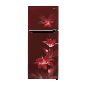 LG GL-T292SRGY 260 Ltr Double Door