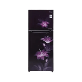 LG GL-T292SPG3 260 Ltr Double Door