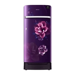 Samsung RR21T2H2XCR 198 Ltr Single Door