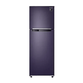 Samsung RT30T3082UT 272 Ltr Double Door