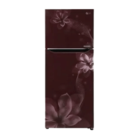 LG GL-N292KSOR 260 Ltr Double Door