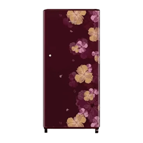 Whirlpool WDE 205 CLS PLUS 4S 190 Ltr Single Door