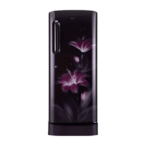 LG GL-D241APGY 235 Ltr Single Door