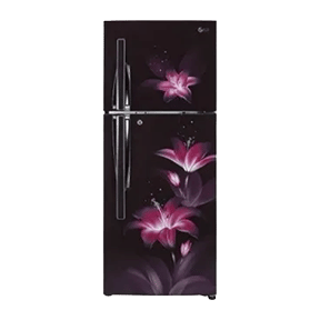 LG GL-T292RPGY 260 Ltr Double Door