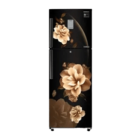 Samsung RT28R3923CB 253 Ltr Double Door