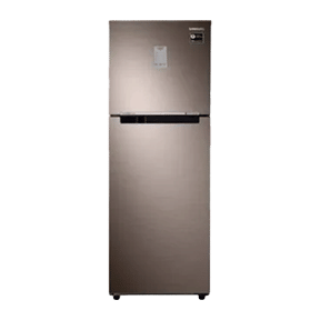 Samsung RT28R3722DX 253 Ltr Double Door