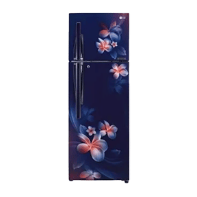 LG GL-T322RBPU 308 Ltr Double Door