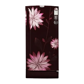Godrej R D EPRO 205 TAF 3.2 190 Ltr Single Door