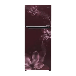 LG GL-P292KSOR 260 Ltr Double Door