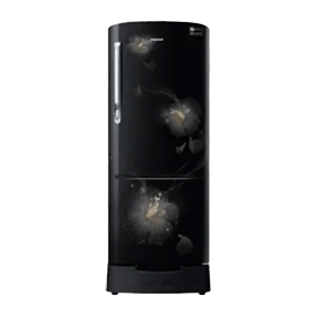 Samsung RR22N383ZB3 212 Ltr Single Door