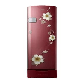 Samsung RR19N2Z22R2 192 Ltr Single Door