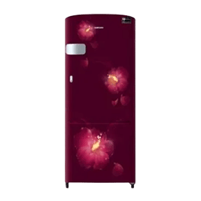 Samsung RR24M2Y2ZR3 230 Ltr Single Door