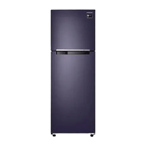 Samsung RT30M3043UT 275 Ltr Double Door