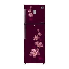 Samsung RT30M3954R7 275 Ltr Double Door