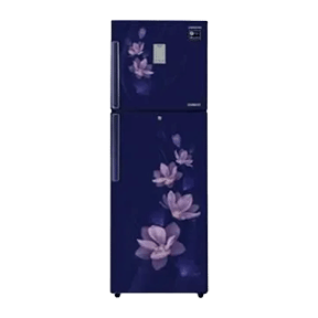 Samsung RT30M3954U7 275 Ltr Double Door