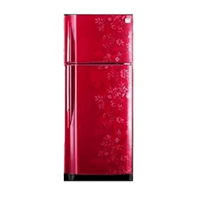 Godrej RT EON 240 P 2.4 240 Ltr Double Door