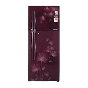 LG GL-D322JSFL 310 Ltr Double Door
