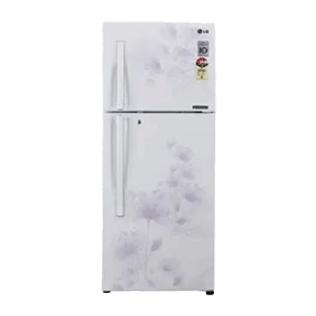 LG GL-D302JPFL 285 Ltr Double Door