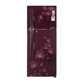 LG GL-D302JSFL 285 Ltr Double Door