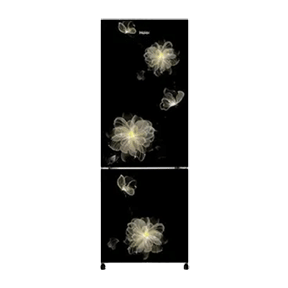 Haier HRB-2763CKB-E 256 Ltr Double Door