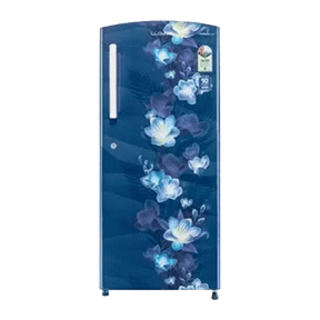 Lloyd GLDC242SGBT2PB 225 Ltr Single Door