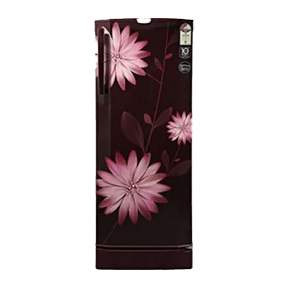 Godrej R D EPRO 255 TAF 3.2 240 Ltr Single Door