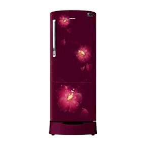 Samsung RR24M285ZR3 230 Ltr Single Door