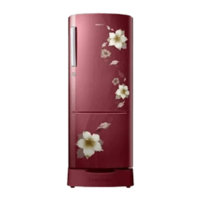 Samsung RR22K287ZR2 212 Ltr Single Door