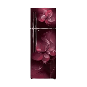 LG GL-T322RSDN 308 Ltr Double Door