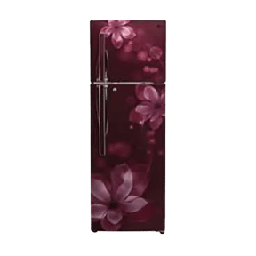 LG GL-T292RSOU 260 Ltr Double Door