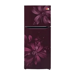 LG GL-Q292SSAY 308 Ltr Double Door